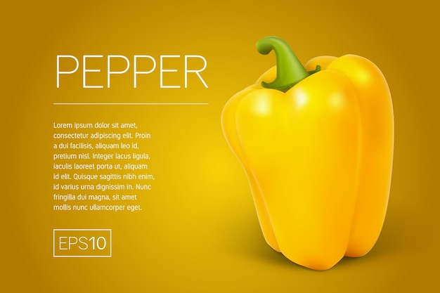 Vector gele paprika op transparante achtergrond. paprika in een realistische stijl. deze peper kan op elke achtergrond worden geplaatst. illustratie