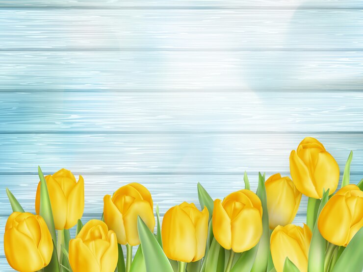 Vector gele tulpenbloemen op houten planken.