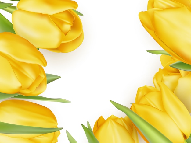 Vector gele verse tulpen op wit.