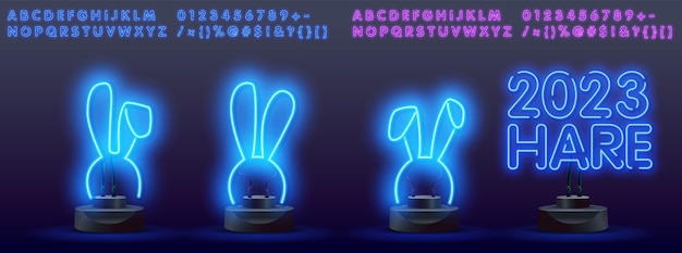 Gelukkig nieuwjaar 2023 in neonstijl Set van konijntje in eenvoudige één lijnstijl Bunny-pictogram op een kleurvlek 2023 jaar van het konijn in neonstijl Kerstmis vectorillustratie