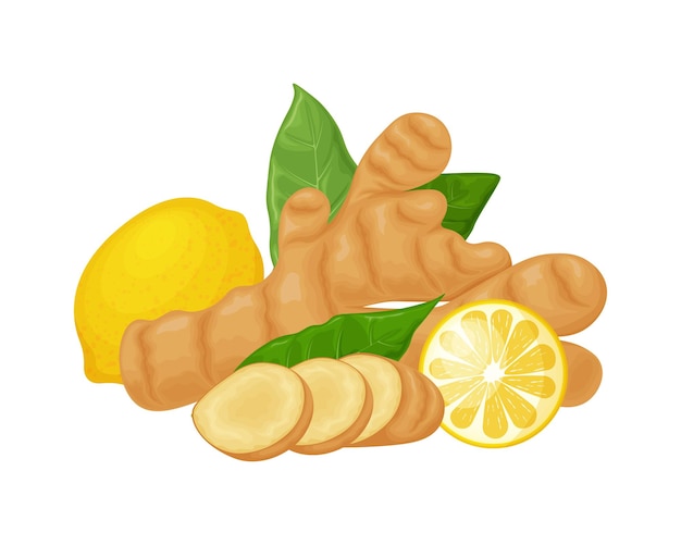 Gember vector afbeelding van gember met citroen en bladeren medicinale plant in cartoon stijl geïsoleerd op aw