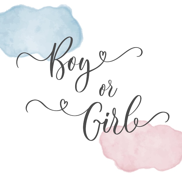 Gender reveal banner calligrafico ragazzo o ragazza per invito a una festa per la doccia del bambino