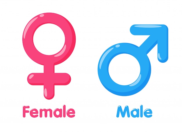 Vector gender symbol. meaning of sex and equality of males and females