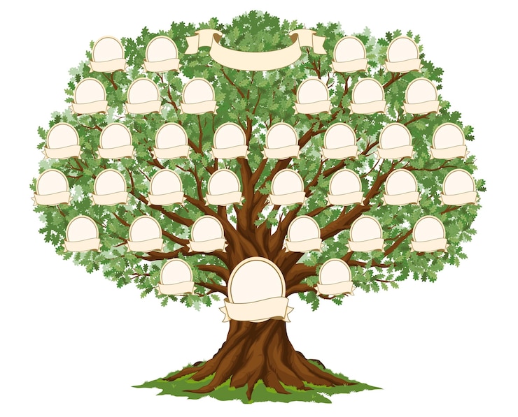 Vector genealogy family tree of ancestry photo frames