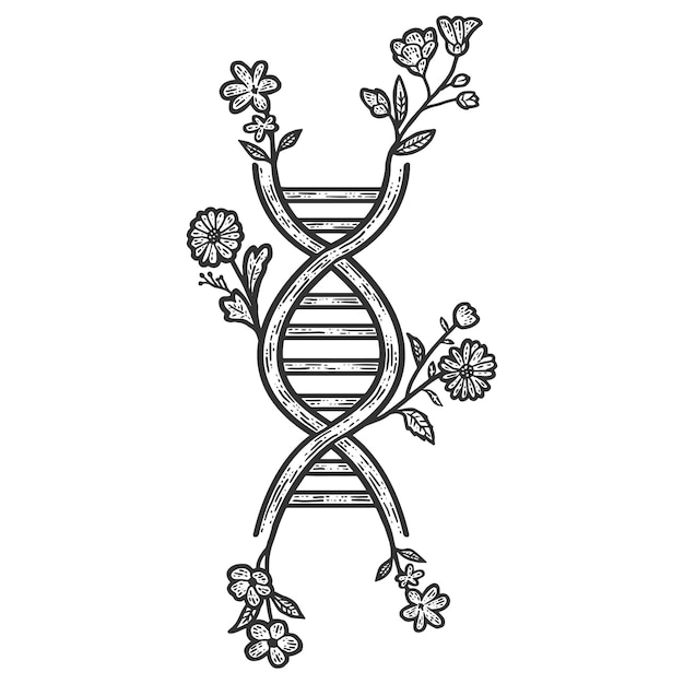 Genetic code floral Sketch scratch board imitation Black and white