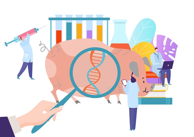 Vector genetisch moderne gemodificeerde dierwetenschappelijk onderzoek mede-experimentele varkens platte vector