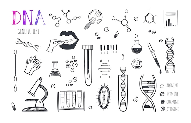 Genetische manipulatie en medisch onderzoek vector infographic.