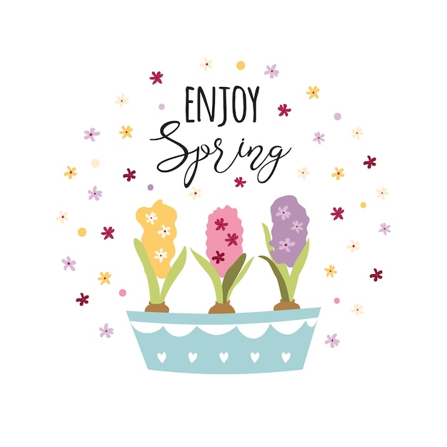 Geniet van lente zin versierd hand getrokken plant bloemen kleurrijke hyacinten in pot decor van kleine bloemen rond typografie bloemen offerte voorjaar vectorillustratie op wit mooie print label logo
