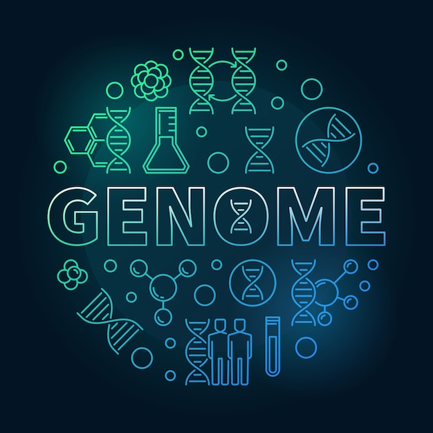 Genome vector round concept colorful linear illustration