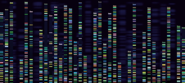Vettore visualizzazione dell'analisi genomica. sequenziamento del genoma del dna, analisi della mappa genetica dell'acido desossiribonucleico e sequenza del genoma