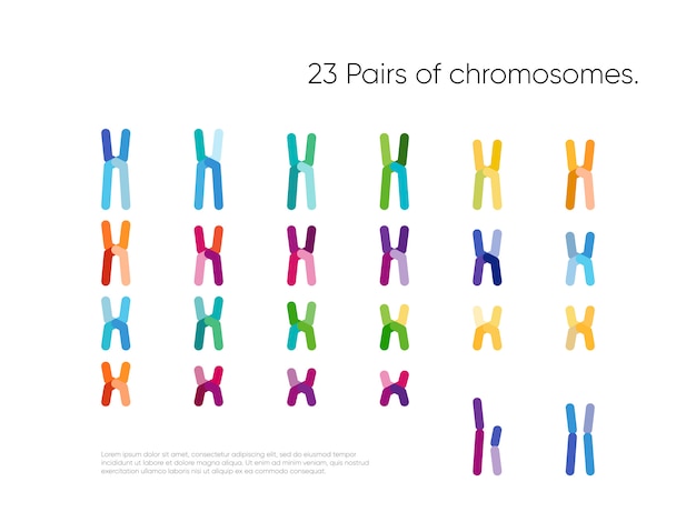 Genomic data visualization