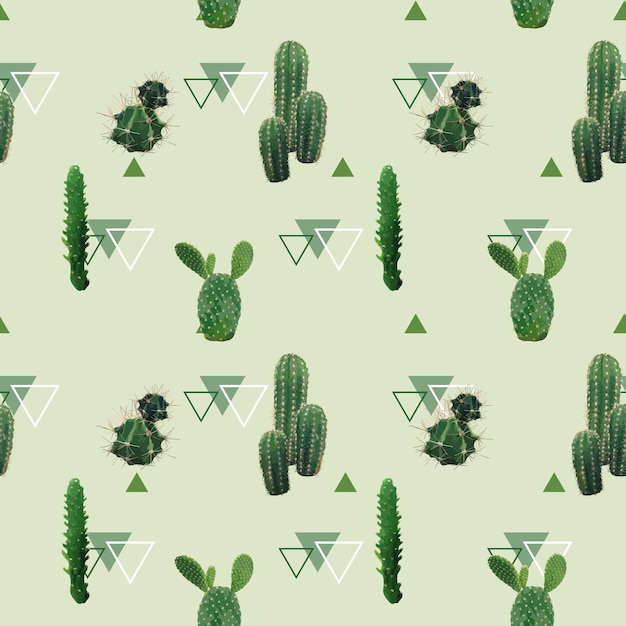 Geometric Cactus Plant Seamless Pattern. Exotic Tropical Summer Botanical Background in.