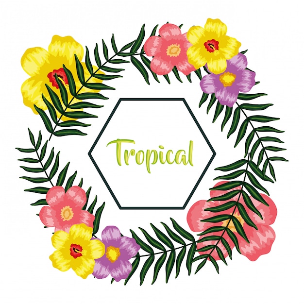 Geometric frame with tropical flowers and leafs