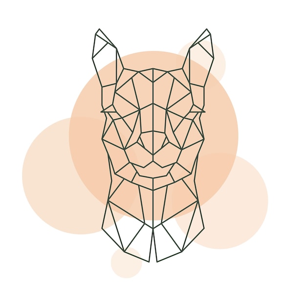 Geometric head of Alpaca