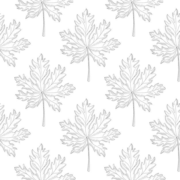 Geometric maple leaf seamless pattern on white background. monochrome leaves vintage wallpaper. engraved style.