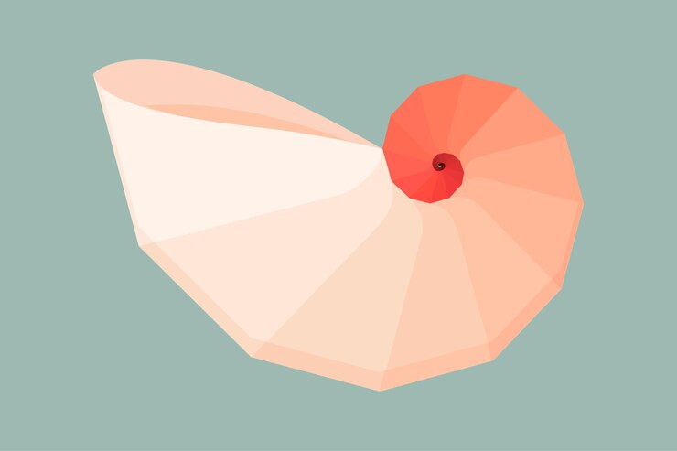 Vector geometric nautilus shell symbol flat vector illustration