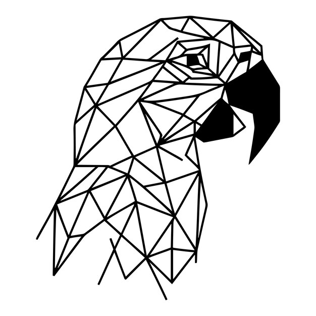 Vector geometric parrot_a