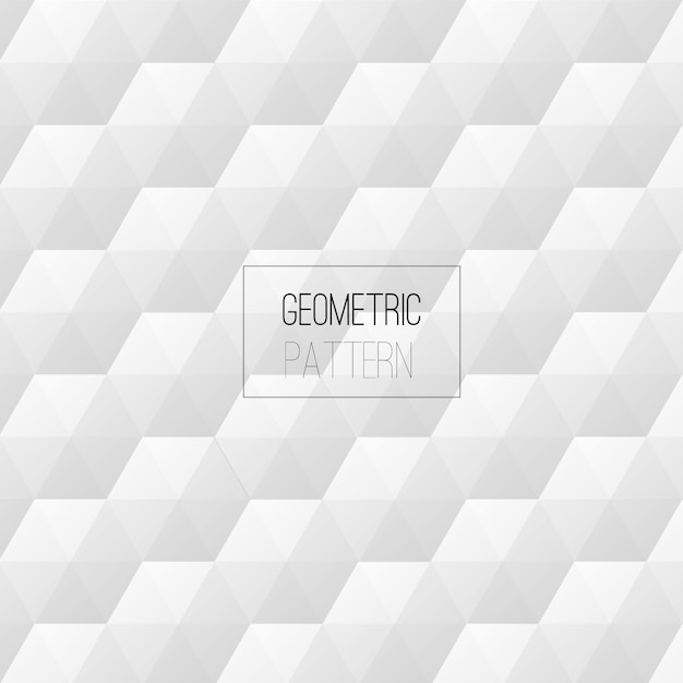 Geometrische zeshoek patroon wit