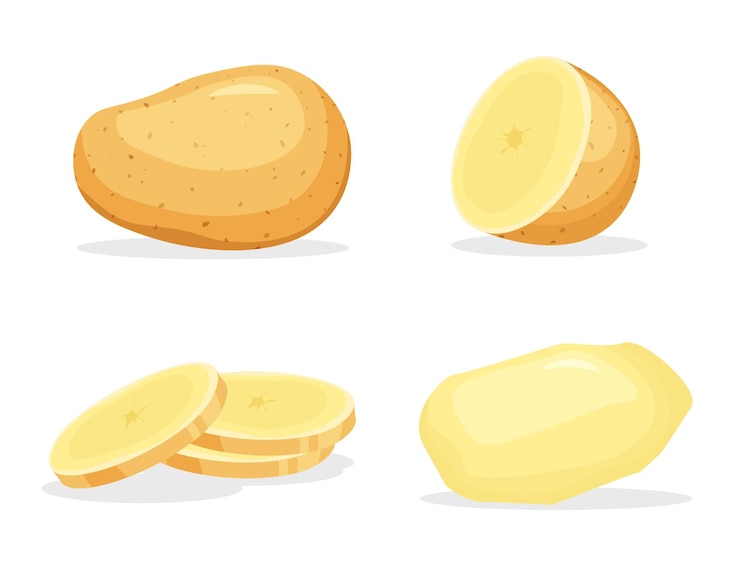 Vector gepeld geheel en geïsoleerd stuk aardappelen.