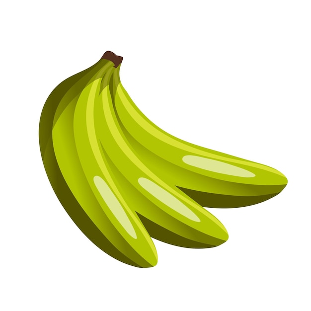 Vector gepelde ongeschilde verse groene banaan een tros bananen