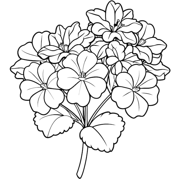 geranium flower bouquet outline illustration coloring book page design geranium flower bouquet blac