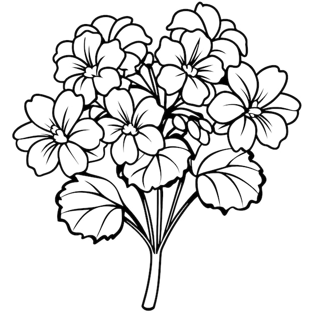 geranium flower bouquet outline illustration coloring book page design geranium flower bouquet blac