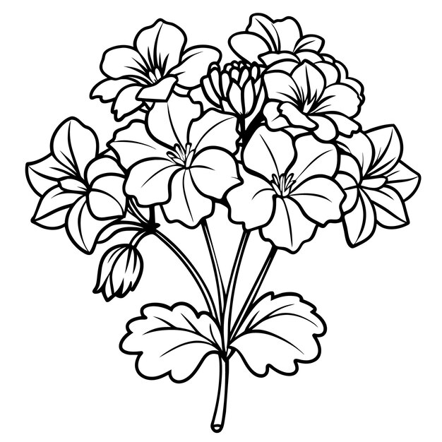 geranium flower bouquet outline illustration coloring book page design geranium flower bouquet blac