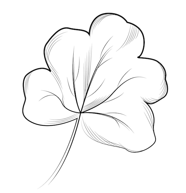 Vector geranium handgetekende vectorillustratie