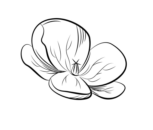 Geranium Handgetekende vectorillustratie