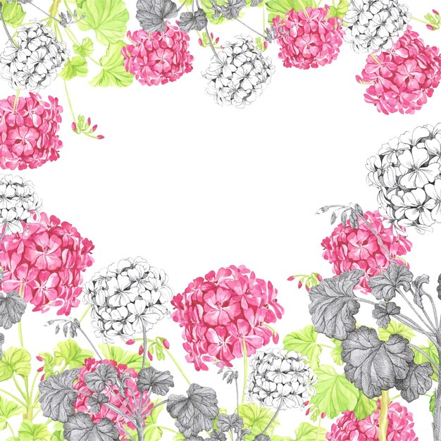 Geranium pattern frame