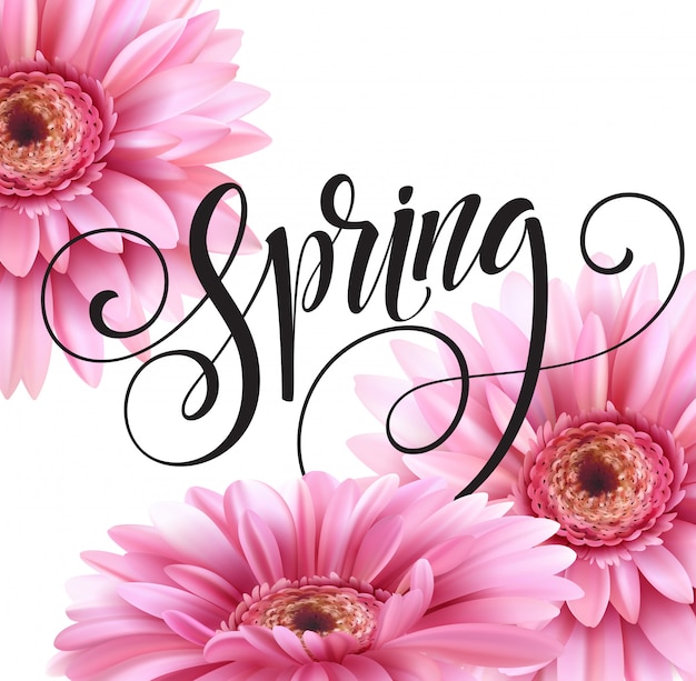 Gerbera bloem en lente belettering.