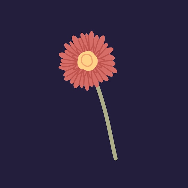 Gerbera bloem op stengel Bloeiende bloemen plant op stengel met prachtige rode weelderige bloemblaadjes en stuifmeel Vrij bloeide tuin flora Geïsoleerde botanische platte vectorillustratie