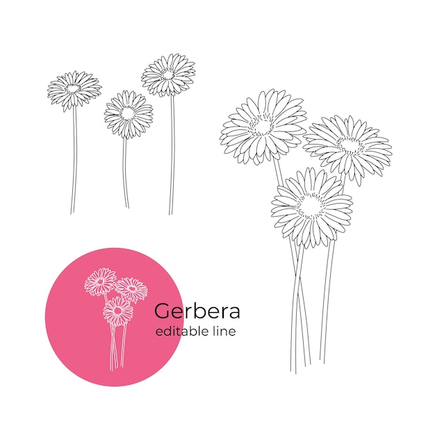 Gerbera flowers minimalistic style editable line.