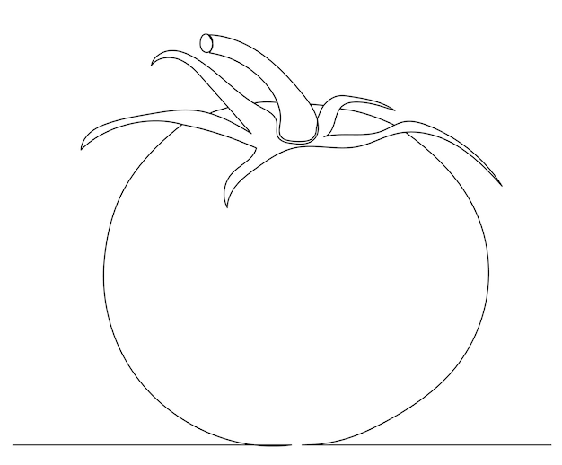 Gerbera in vase line drawing, isolated, vector