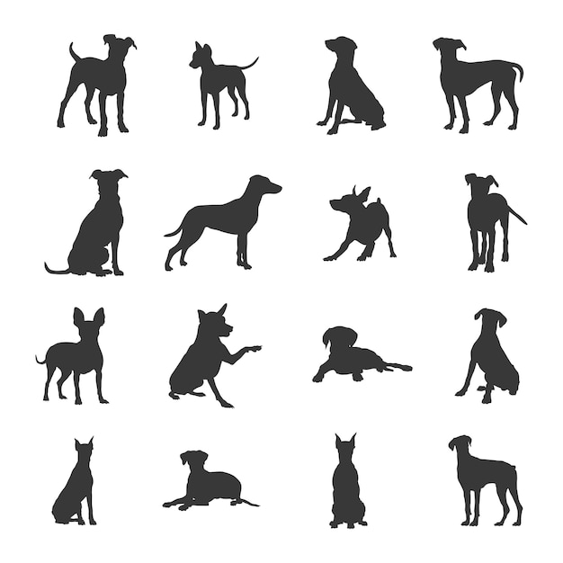 Vector german pinscher dog silhouettes