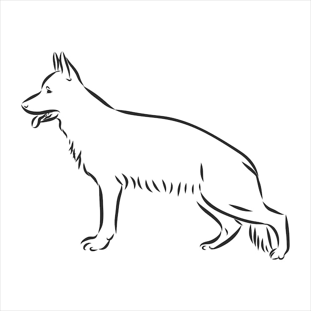 German Shepherd dog breed vector illustration from the dog show sign symbol set