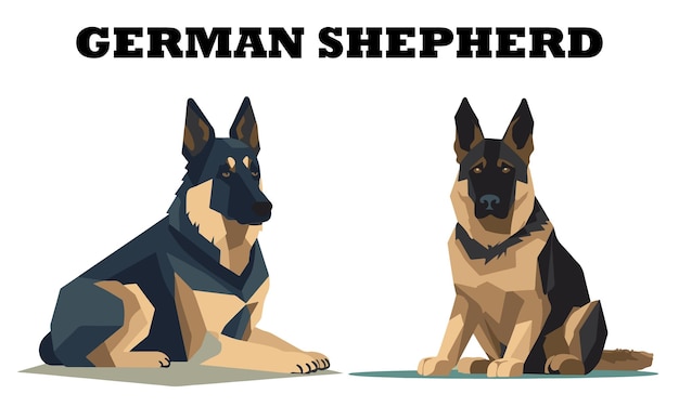 German Shepherd dog vector illustration