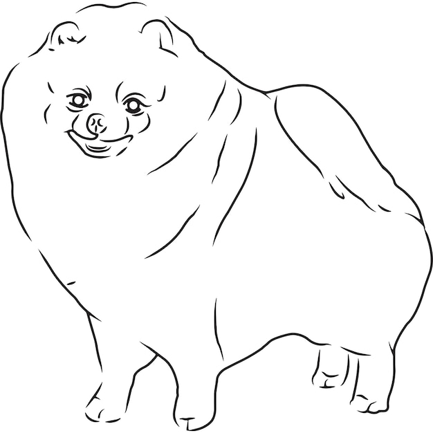 ジャーマンスピッツ犬の手スケッチベクトル描画