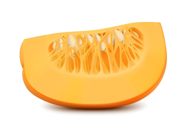 Gesneden pompoen met zaden geïsoleerd op witte achtergrond Decoratief kunstelement voor Thanksgiving Halloween-viering lay-outontwerp Fel oranje fruit Realistische 3D-vector