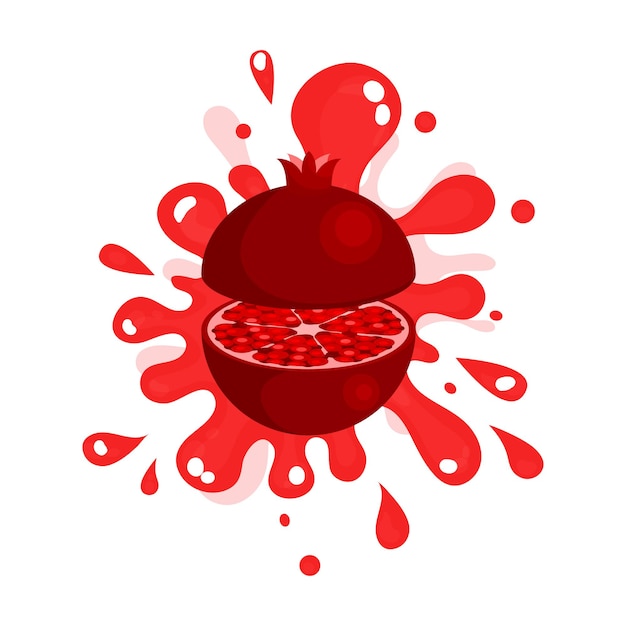 Gesneden rijp granaatappelsap spatten, kleurrijke vers sappig fruit vector illustratie geïsoleerd op een witte achtergrond
