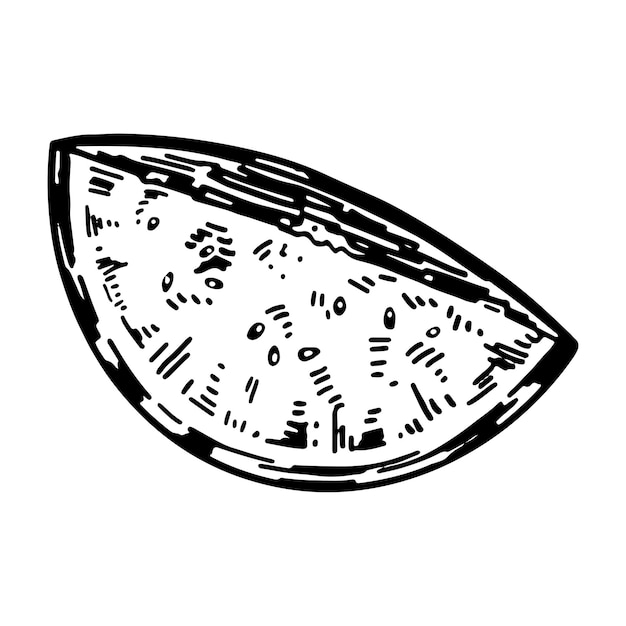 Gesneden watermeloen schets clipart Zoet vers tropisch fruit doodle geïsoleerd op wit Hand getrokken vectorillustratie in gravure style
