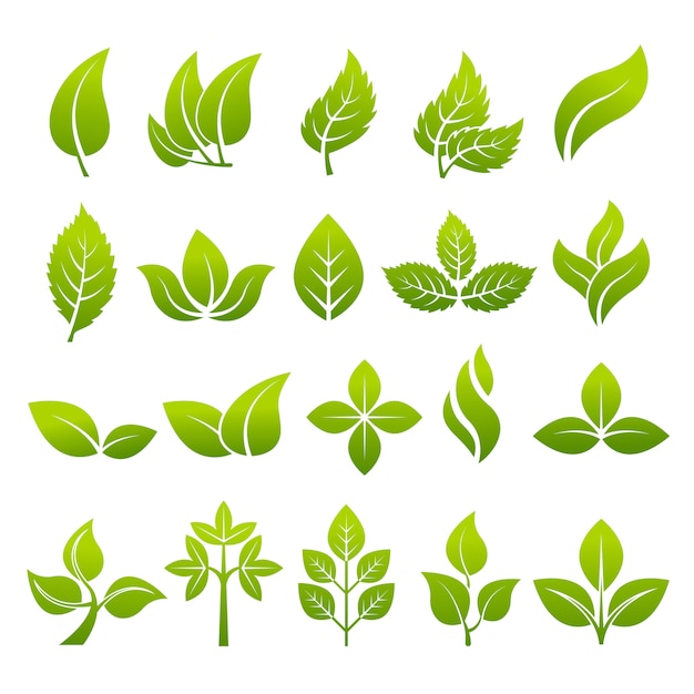 gestileerde planten om logo's te ontwerpen
