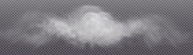 Gestructureerd speciaal effect van stoom, rook, mist, wolken. vector rook png. Variform vector stoom textuur.