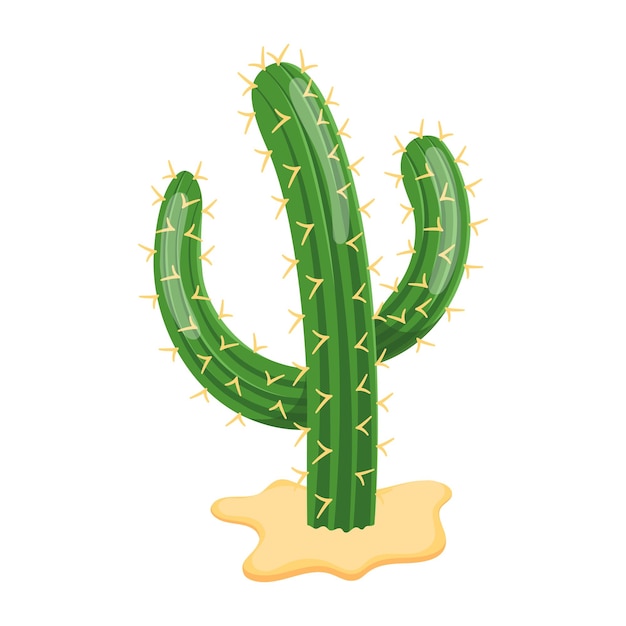 Get hold of this cactus flat icon