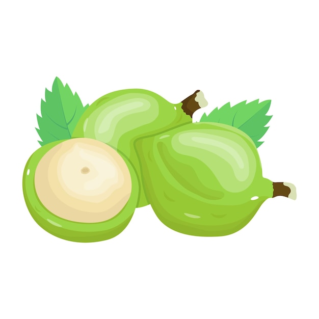 Get your hands on this isometric icon of unripe coconuts