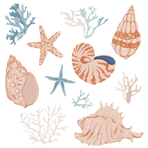 Getekende zeeschelpen en koralen set