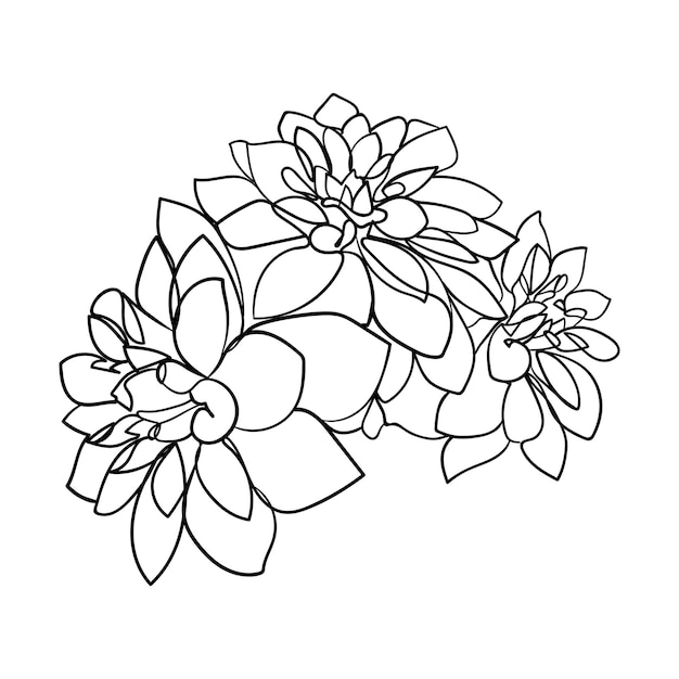 Getrokken schets dahlia bloemen geïsoleerd op een witte achtergrond vectorillustratie