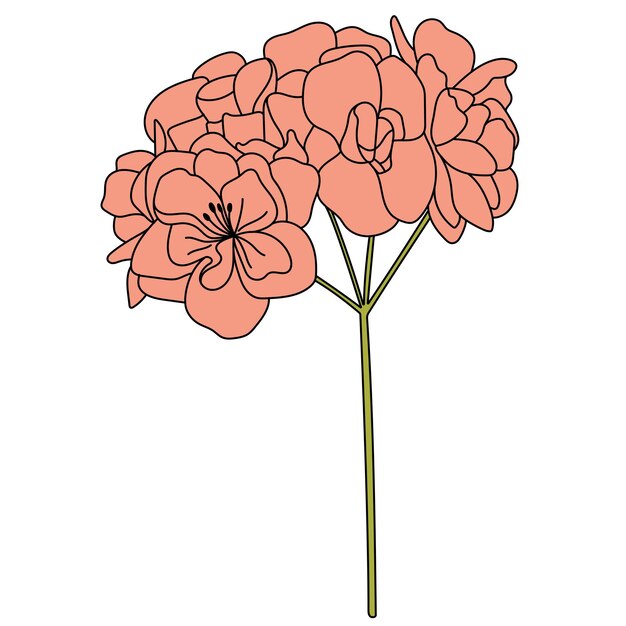 Vector gevoerde malva bloem stokroos vector