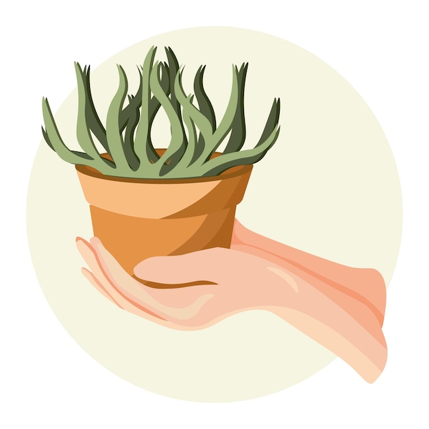 Gewasbescherming illustratie handen met een huisplant in een pot ecologisch concept icon