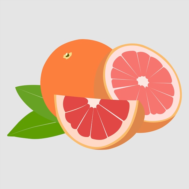 Gezond grapefruit eten Vector kunstwerk